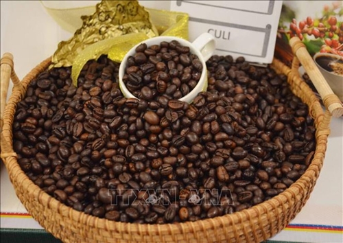 Giá cà phê hôm nay (15-5): Giảm nhẹ